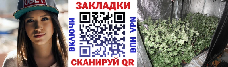 Купить наркоту Ахтубинск Галлюциногенные грибы  A-PVP  МЕФ  Канабис  ГАШ 