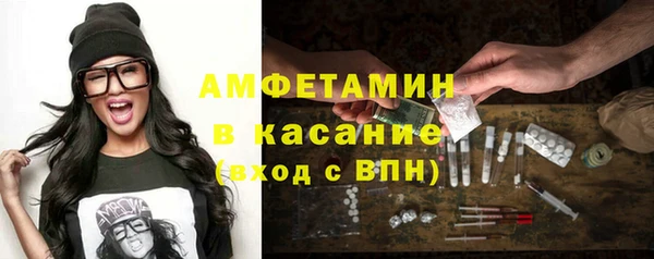 стаф Аркадак