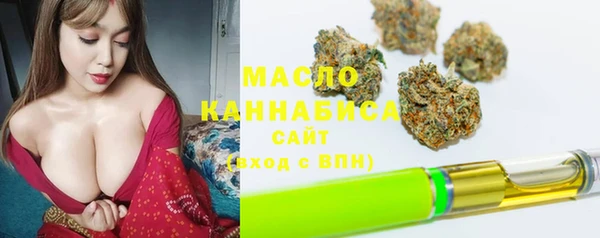 шишки Арсеньев
