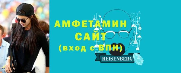 шишки Арсеньев