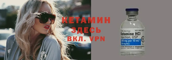 стаф Аркадак