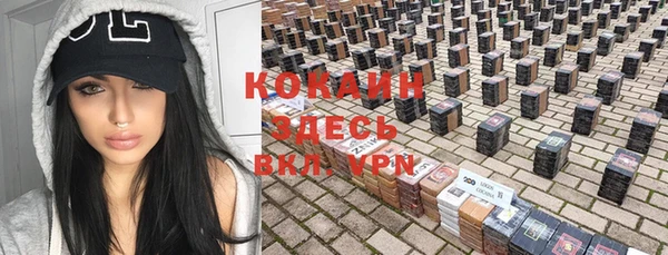 spice Осинники
