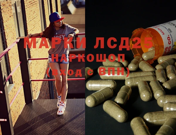 стаф Аркадак