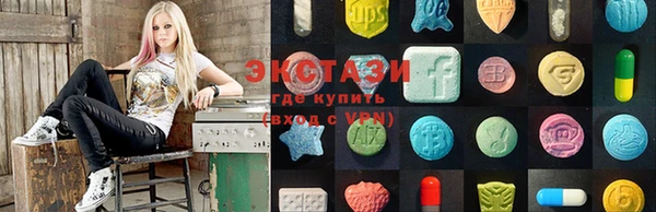 стаф Аркадак