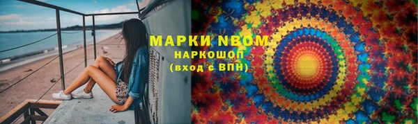 стаф Аркадак