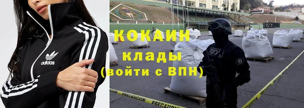 стаф Аркадак