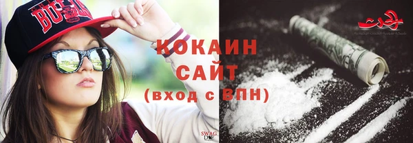 шишки Арсеньев