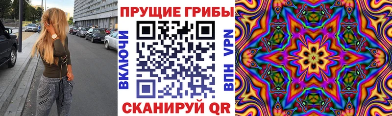 купить  сайты  Ахтубинск  Псилоцибиновые грибы Cubensis 